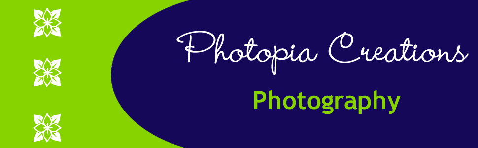 Header Image for Photopia Creations